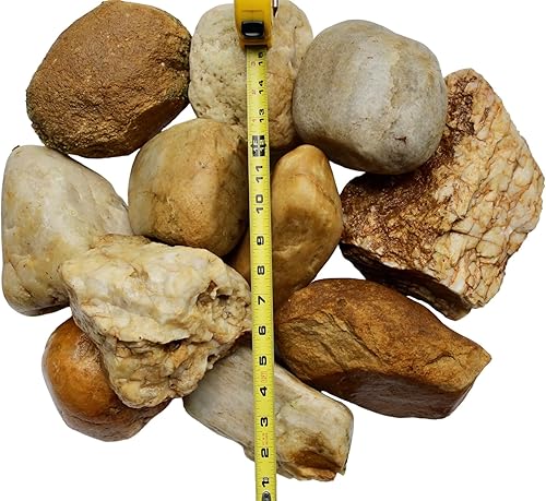 Miniatura 9 de Piedras extra grandes  10 piezas, 4 a 8 pulgadas (XL) NC River Rock, guijarros mezclados decorativos naturales, grava, decoración al aire libre,