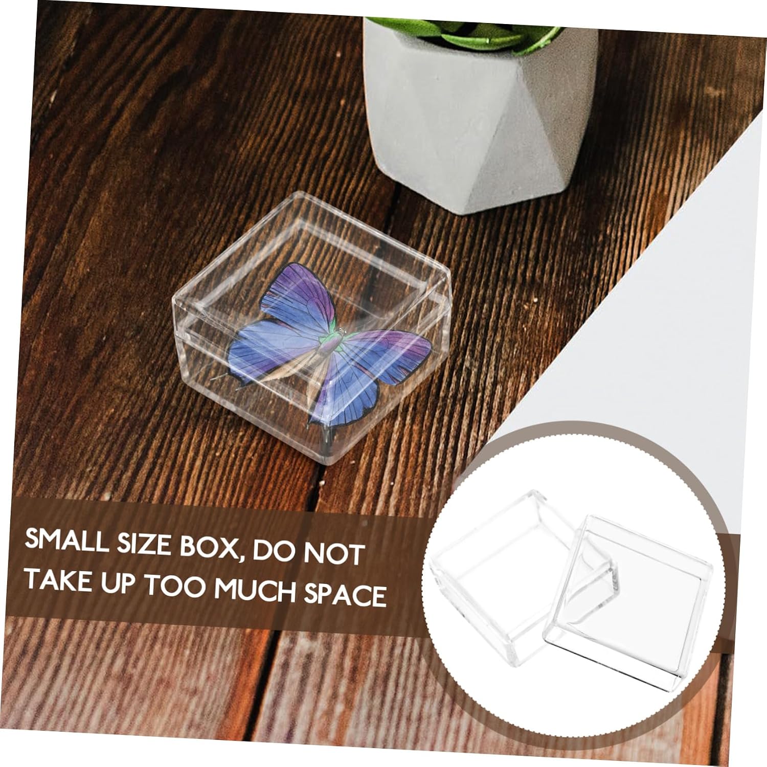 10pcs Boxes Mineral Display Case Specimen Case Specimen Storage Boxes Specimen Storage Case Rock Collection Display Case Specimen Container Display Cabinet Plastic Transparent