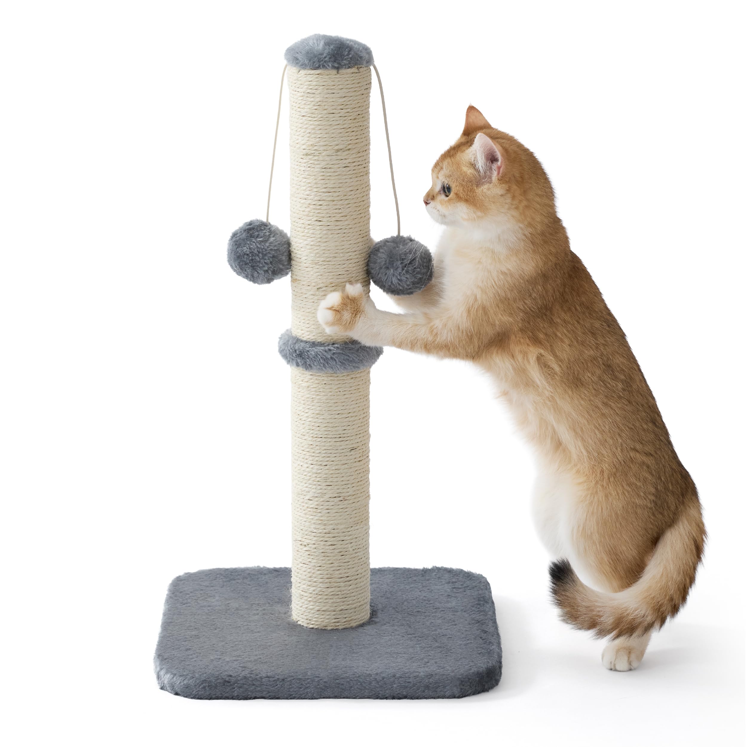 Lesure Kratzsäule Mittelgroßer für Katzen Indoor - 30x30x57cm Kratzstamm mit Hängendem Spielball, Kleiner Kratzbaum mit Sisalseil, Stabile Basis Kratzsäule, Grau