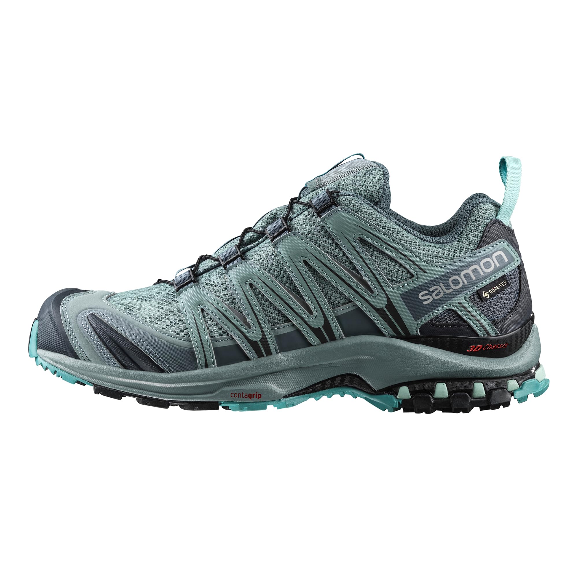 Salomon Damen Xa Pro 3D Gore-texTraillaufschuhe