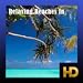 Relaxing Beaches In HD