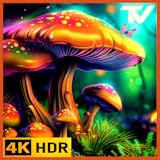 神秘的なキノコの隠れ家のスクリーンセーバー - 穏やかな自然音とソフトフルート、時計と天気。