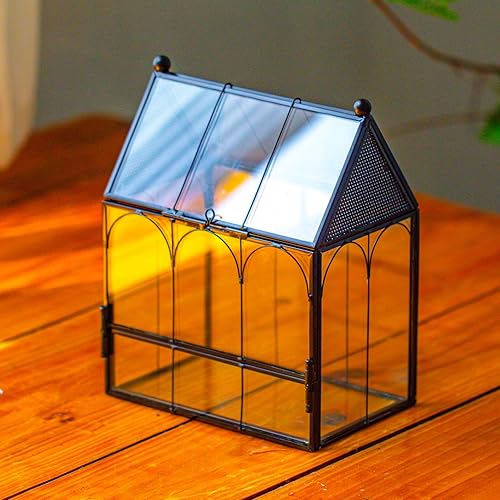 NCYP Pequeño recinto de terrario de vidrio con malla para arañas saltadoras, plantas suculentas en forma de micro casa, terrario, decoración del