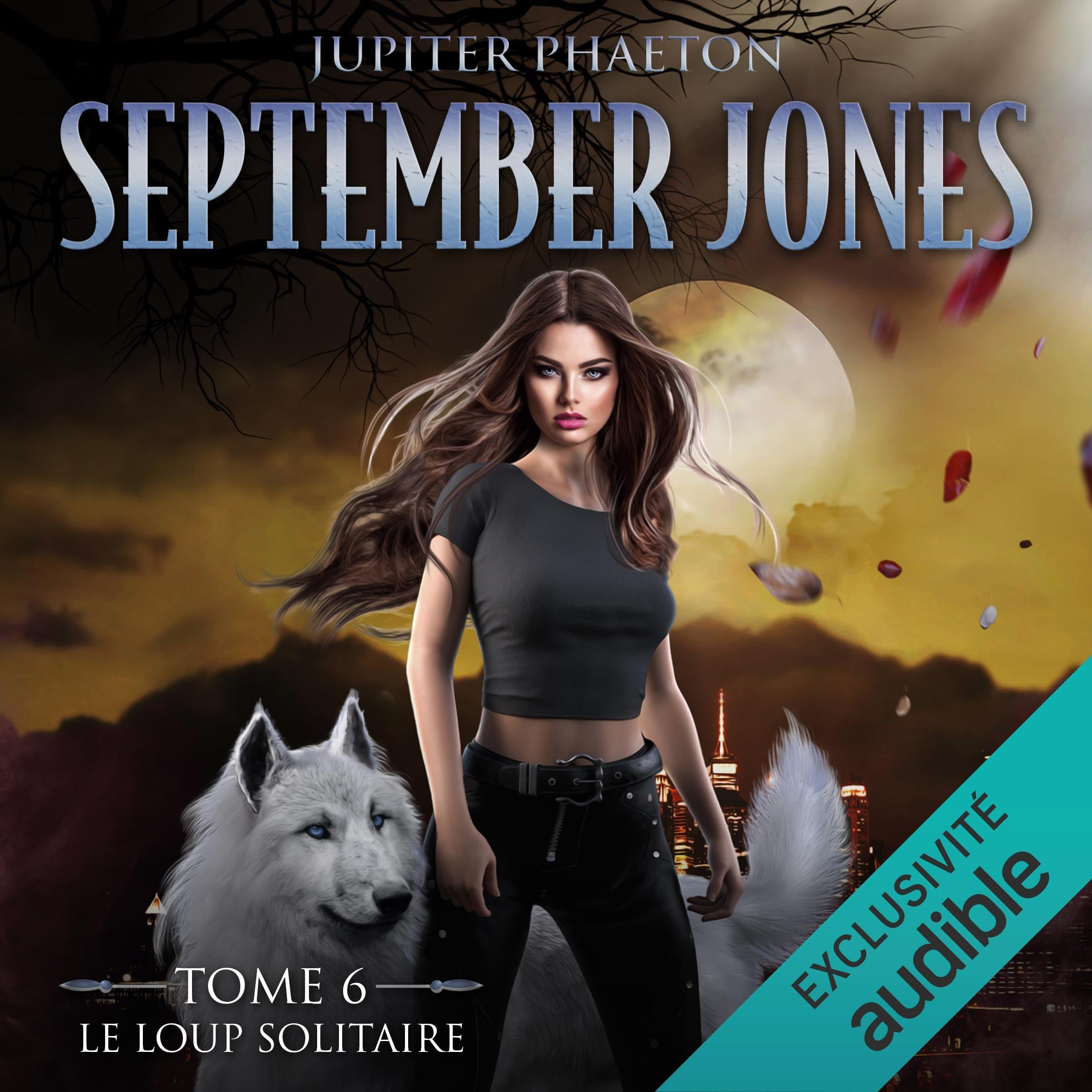 Cover art for Le loup solitaire