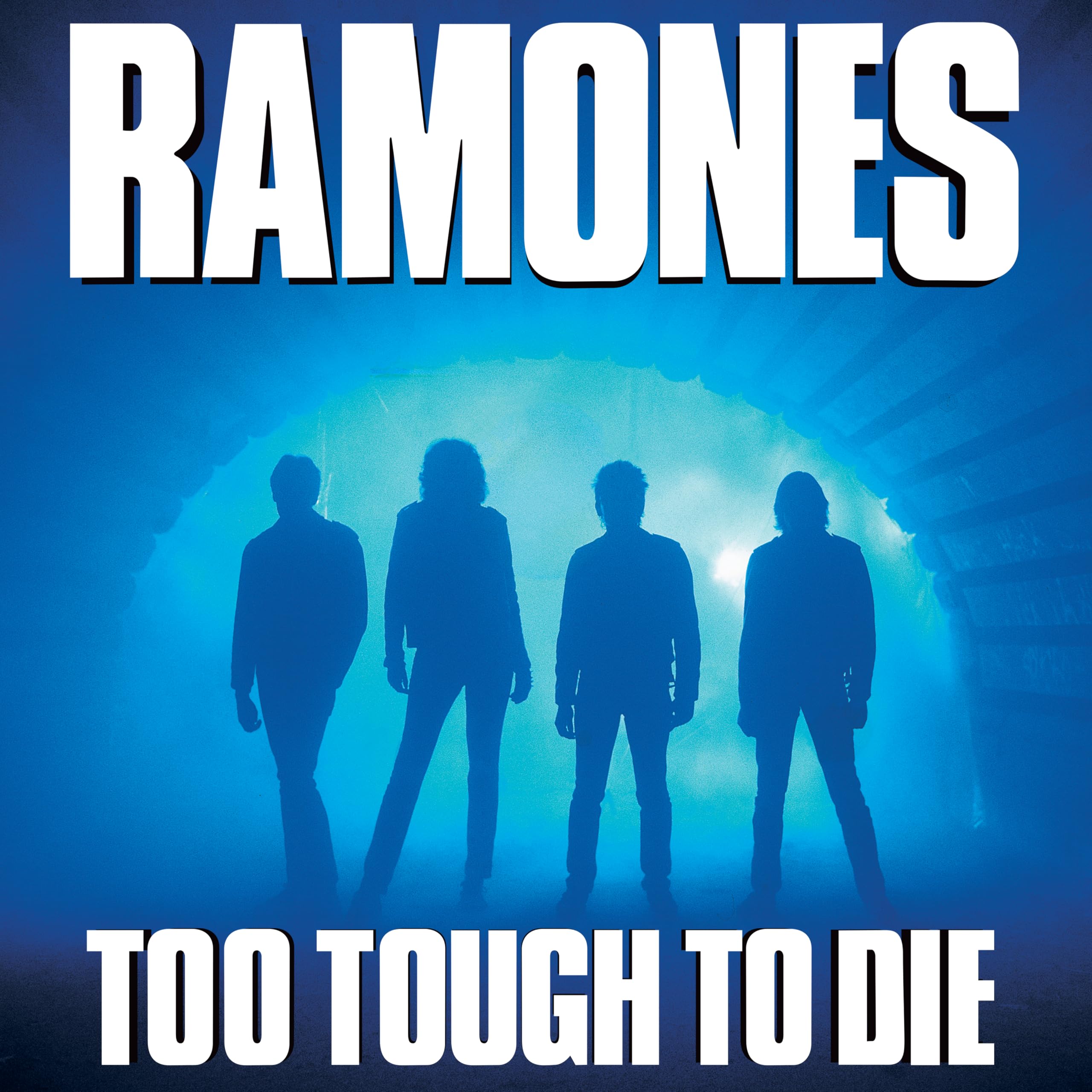Too Tough To Die [Vinyl LP] [VINYL]