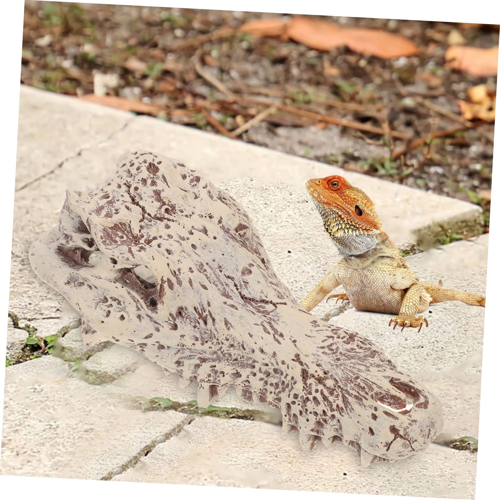 Décoration D’Aquarium Crâne en Résine Blanc pour Reptiles et Tortues | Halloween, Cachette et Escalade, Aspect pour Terrarium, Modèle Unique au Rendu Vivant