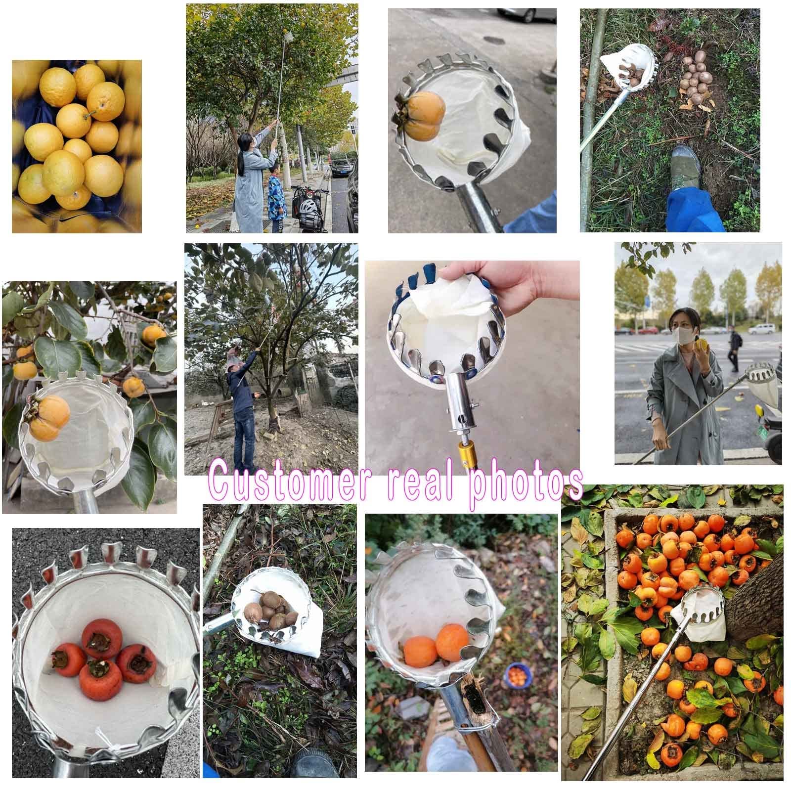 Appelplukker met Steel Pruimenfruitplukker met Telescopisch Handvat, Metalen Remklauwtanden, Lichtgewicht Roestvrijstalen Verbindingspaal Fruitplukker Tuin 2 Kleuren (Color : B, Size : 10m(32.8ft