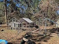 Review Image by Yvette