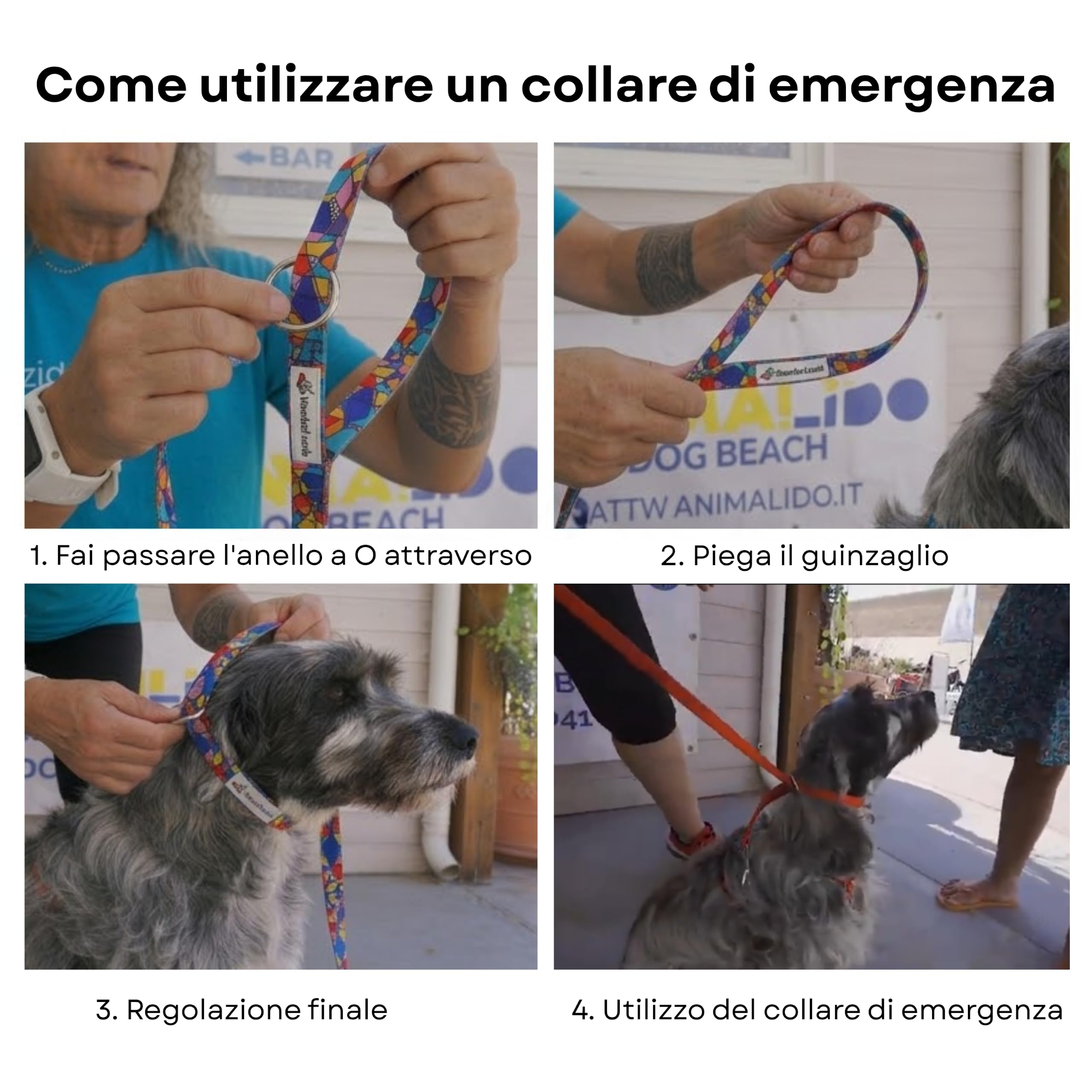 Wonderleash Guinzaglio per Cani Wonderleash 3 in 1, Linea Lunga Robusta, Guinzaglio da Addestramento con Collare di Emergenza, Manico Confortevole, Adatto a Cani Piccoli (Multicolore, M)