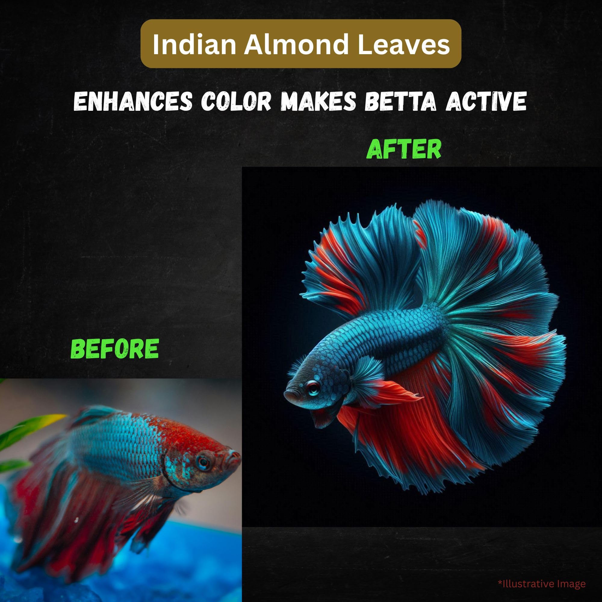80 hojas secas de almendra india Catappa para tanque de peces Betta de 4 pulgadas, acondicionador de agua para acuario, camarones, peces dorados, guppy, ranas, tetras y caracoles
