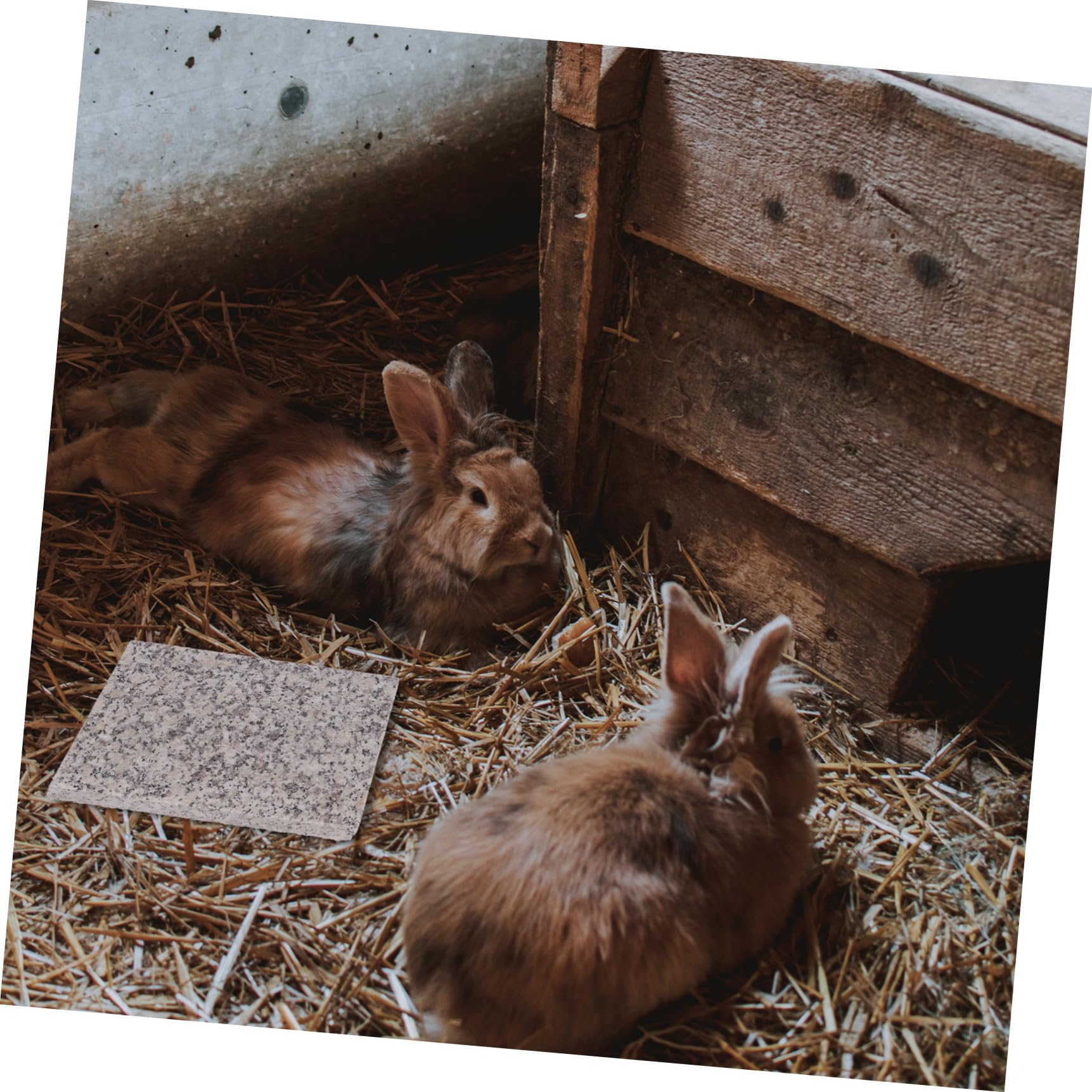 BESTonZON Sommer Kühlbrett für Haustiere Mittelgroßes Marmor Kühlstein Nager Hamster Kaninchen Chinchilla Kleintier Zubehör Hitzeschutz Erfrischungsplatte