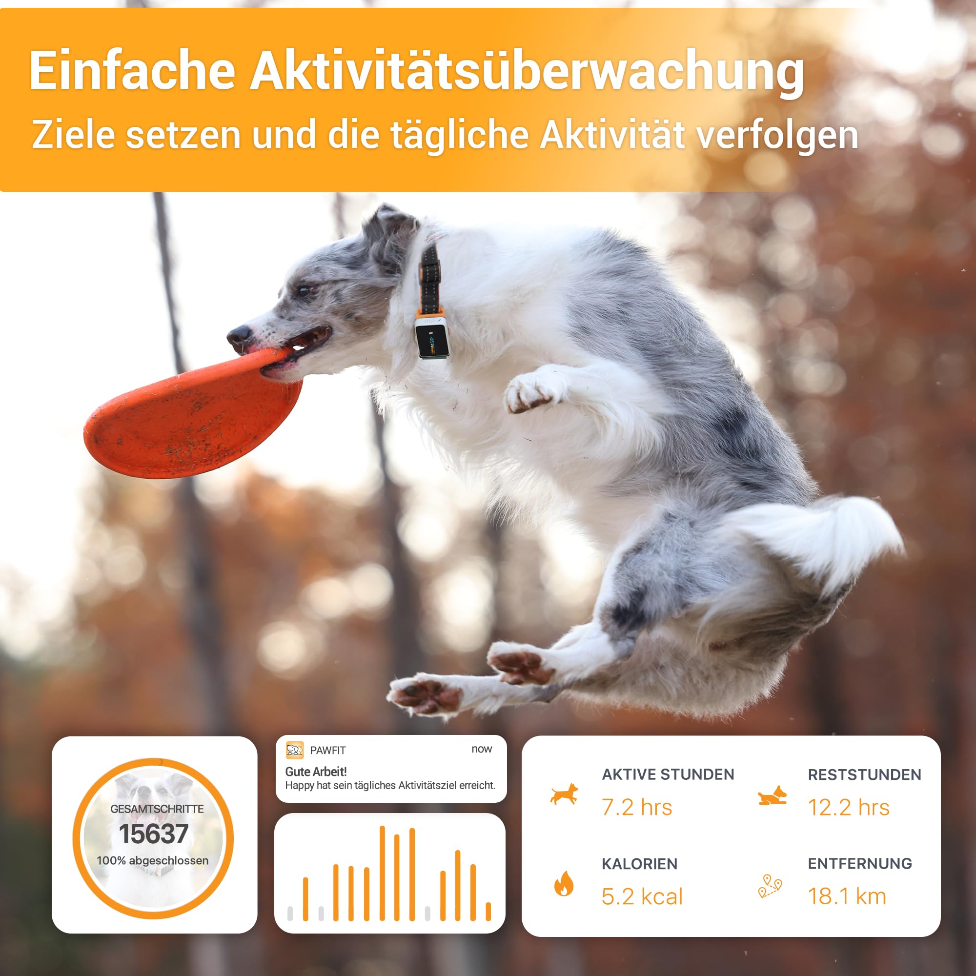 Pawfits 3-GPS-Tracker für Hunde und Katzen| Live-Satellitenortung Weltweit| Weglaufalarm | intelligentes Warnsystem | Fernsprachbefehle | Wasserdicht | Aktivitätstracking | Für Alle Halsbänder