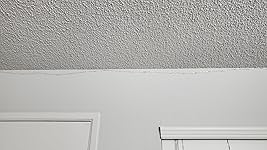 Review Image by Shanon