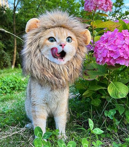 Miniatura 7 de RosyLife Peluca de melena de león para disfraz de gato, ajustable, lavable, cómoda, elegante, pelo de león, vestido de ropa de gato para Halloween,