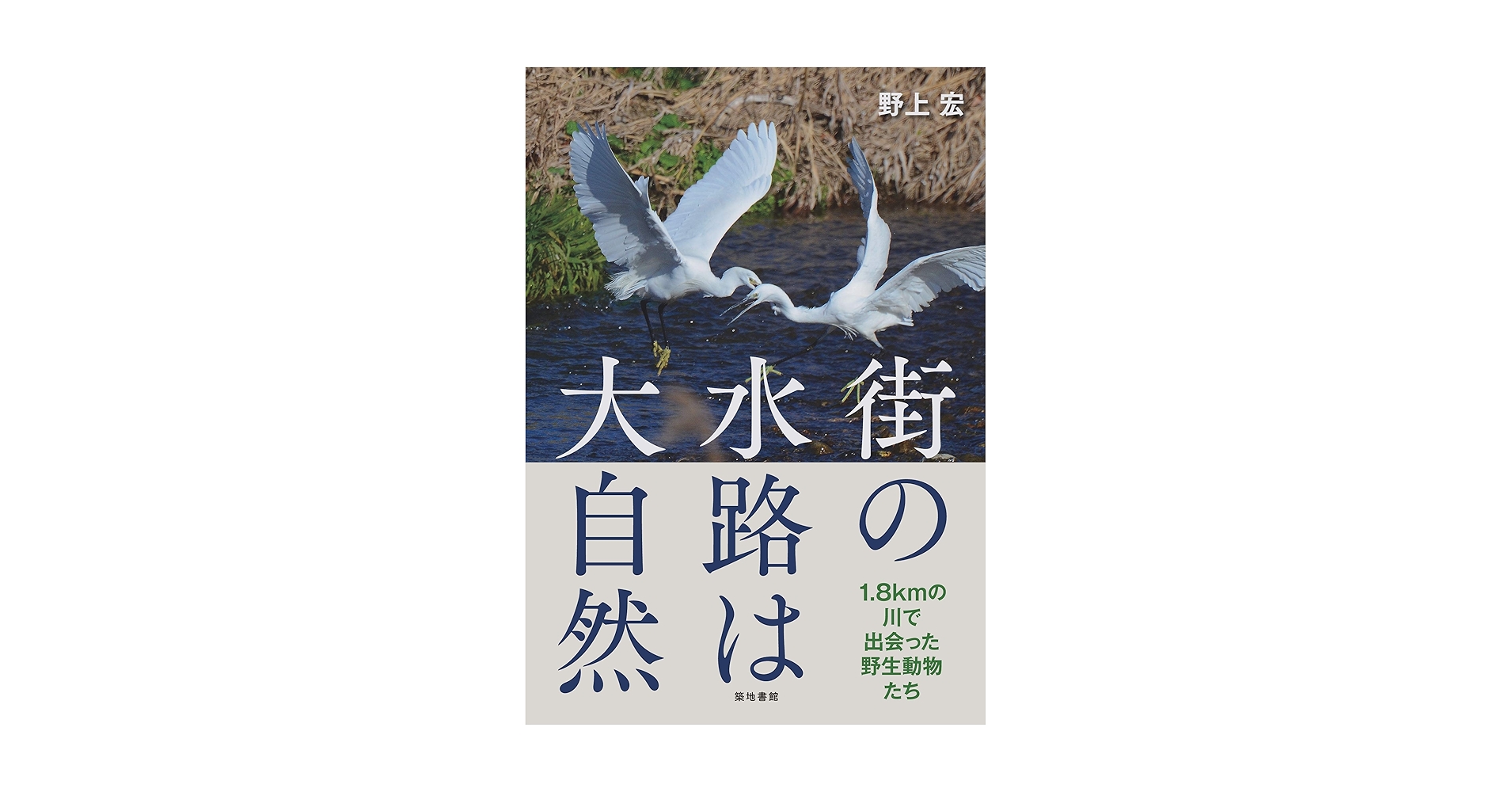 ＤＶＤ＞オオタカの住む町 ［大自然ライブラリー］/小学館/平野伸明（単行本） DVD＞オオタカの住む町 ［大自然ライブラリー］/小学館/平野