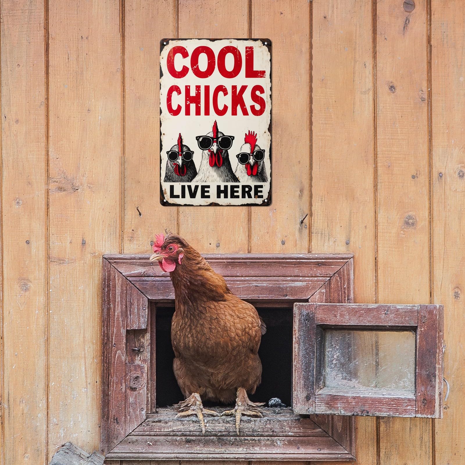 Amazon.co.jp: Cool Chicks Live Here メタルブリキ看板 ホーム