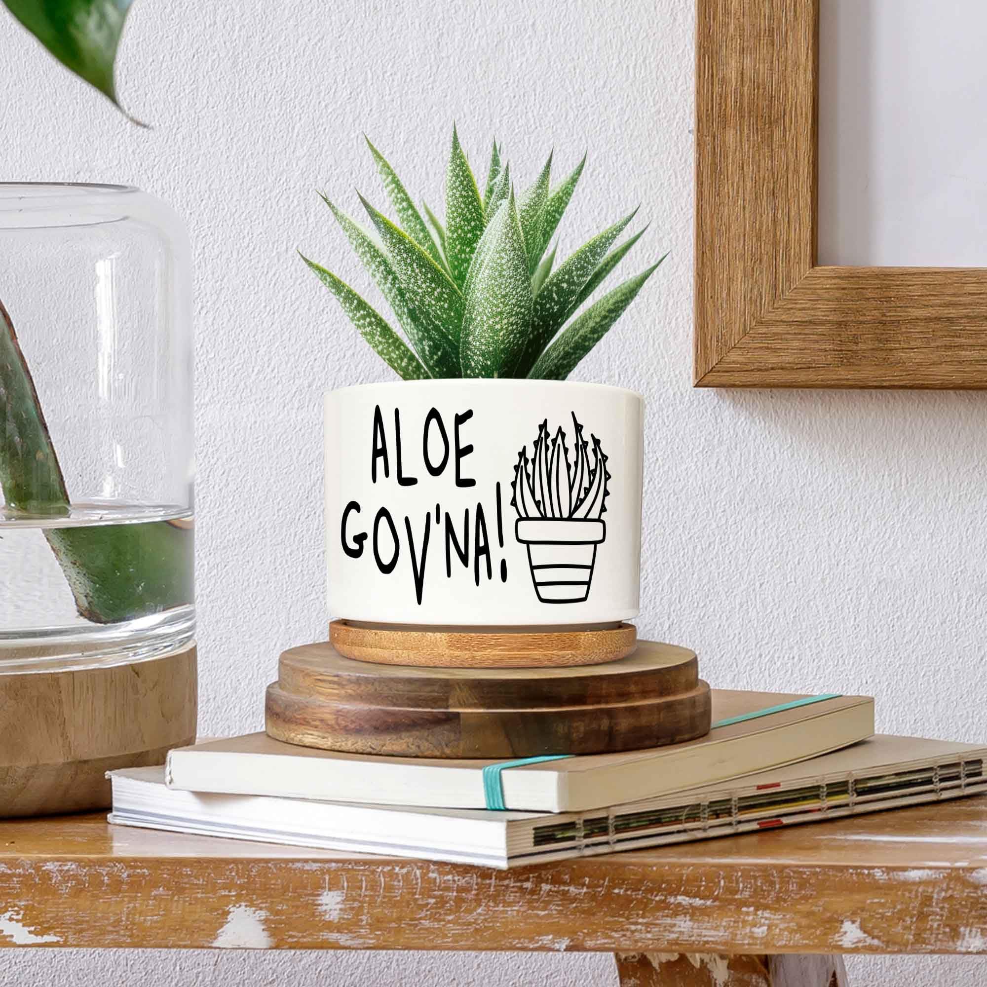 Amazon.com: Bttwkco Aloe Gov'na - Funny Succulent Pots, 3.5 inch Ceramic Aloe  Vera Plant Pot, Cute Cactus Planter with Drainage, Plant Gifts for Women  Friends Plant Lover : Patio, Lawn & Garden