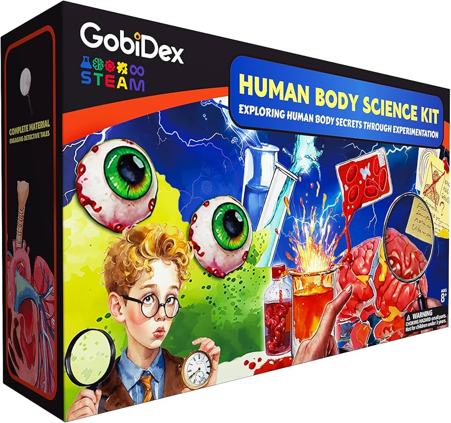 Amazon.com: GobiDex Gross Science Experiments - Brain Dissection
