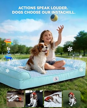 Cooling Dog Bed with PCM, Instant Chill Pet Sofa for Large Dogs, Orthopedic Egg Crate Foam with Bolster Sides, Washable & Waterproof Dog Couch, Non-Slip Bottom, Blue 48x32x7.5
