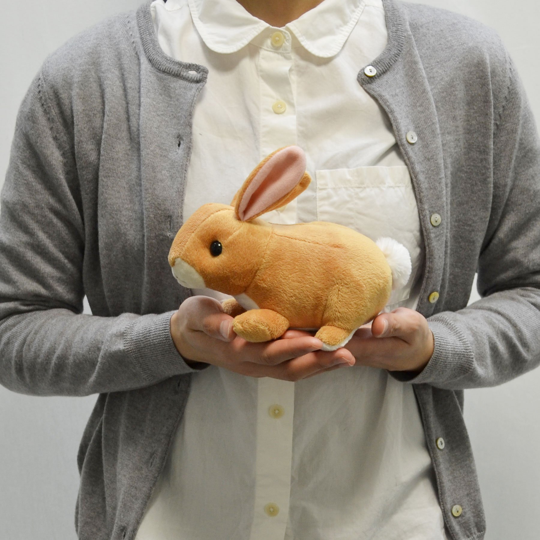 Amazon.co.jp: AQUA ぬいぐるみ ファーム もちもち うさぎ