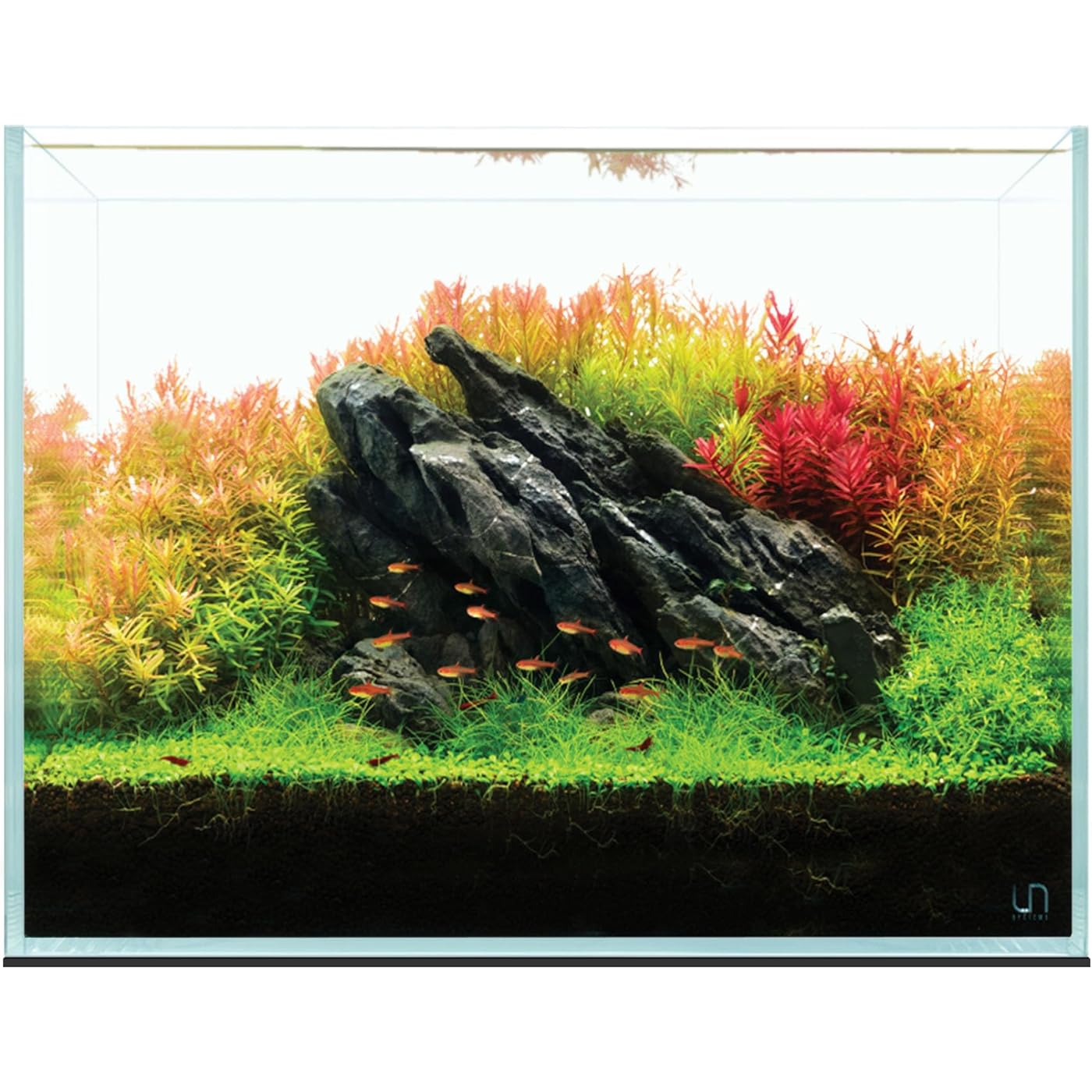Gallery image 1