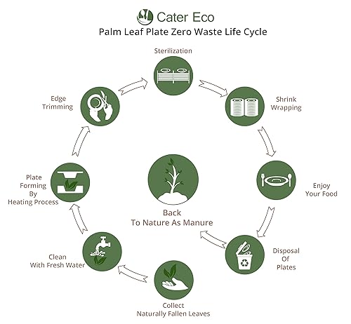 Miniatura 2 de Juego de platos cuadrados de hoja de palma (paquete de 400) | Platos de aperitivo o postre | Vajilla desechable ecológica | Utensilios de fiesta