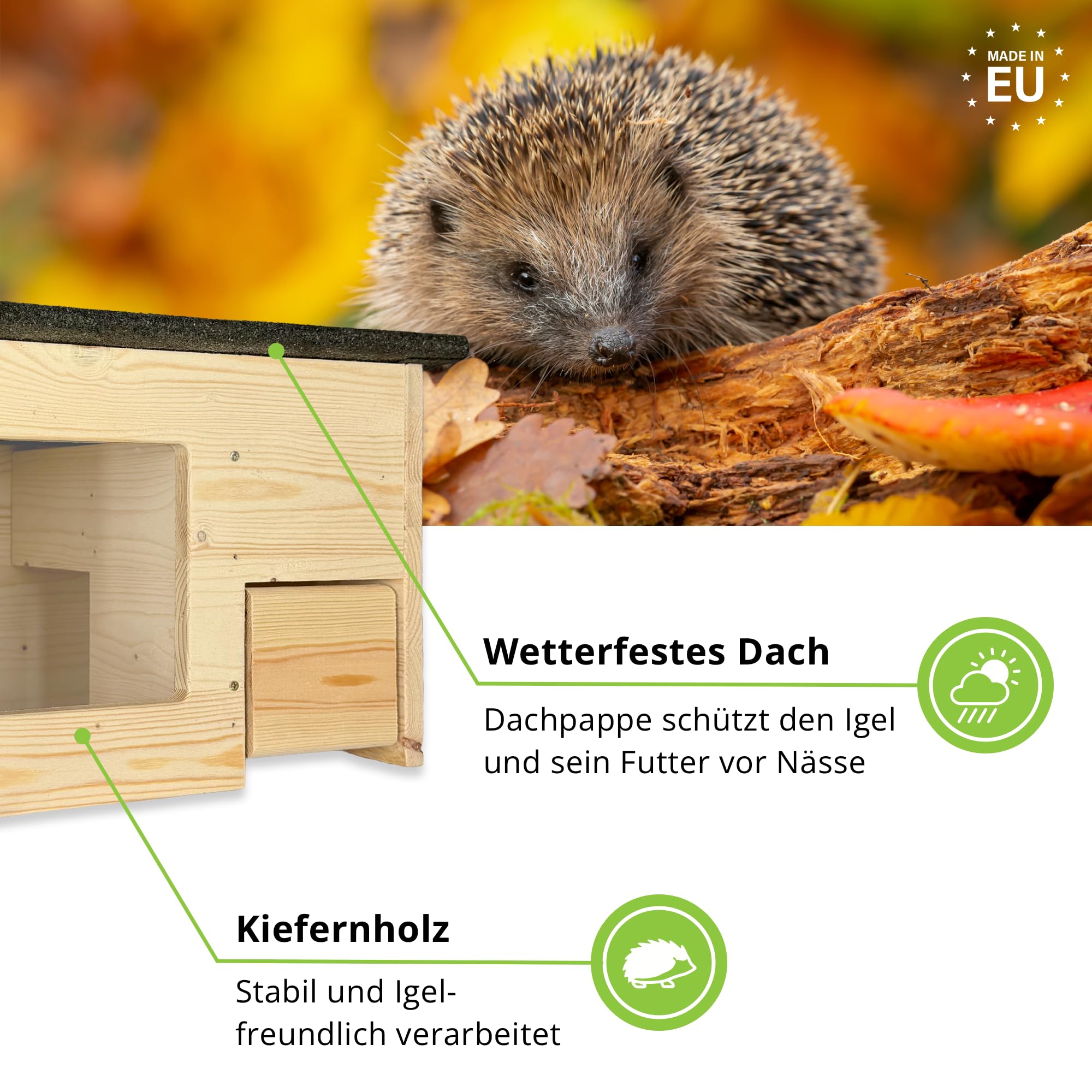 gartenetage Igelfutterhaus mit Beobachtungsfenster & Rattenklappen aus Holz – Sicheres Igelhaus für Garten mit Schleuse, Fluchtweg & Wetterschutz – Robuste Futterstation für Igel ganzjährig