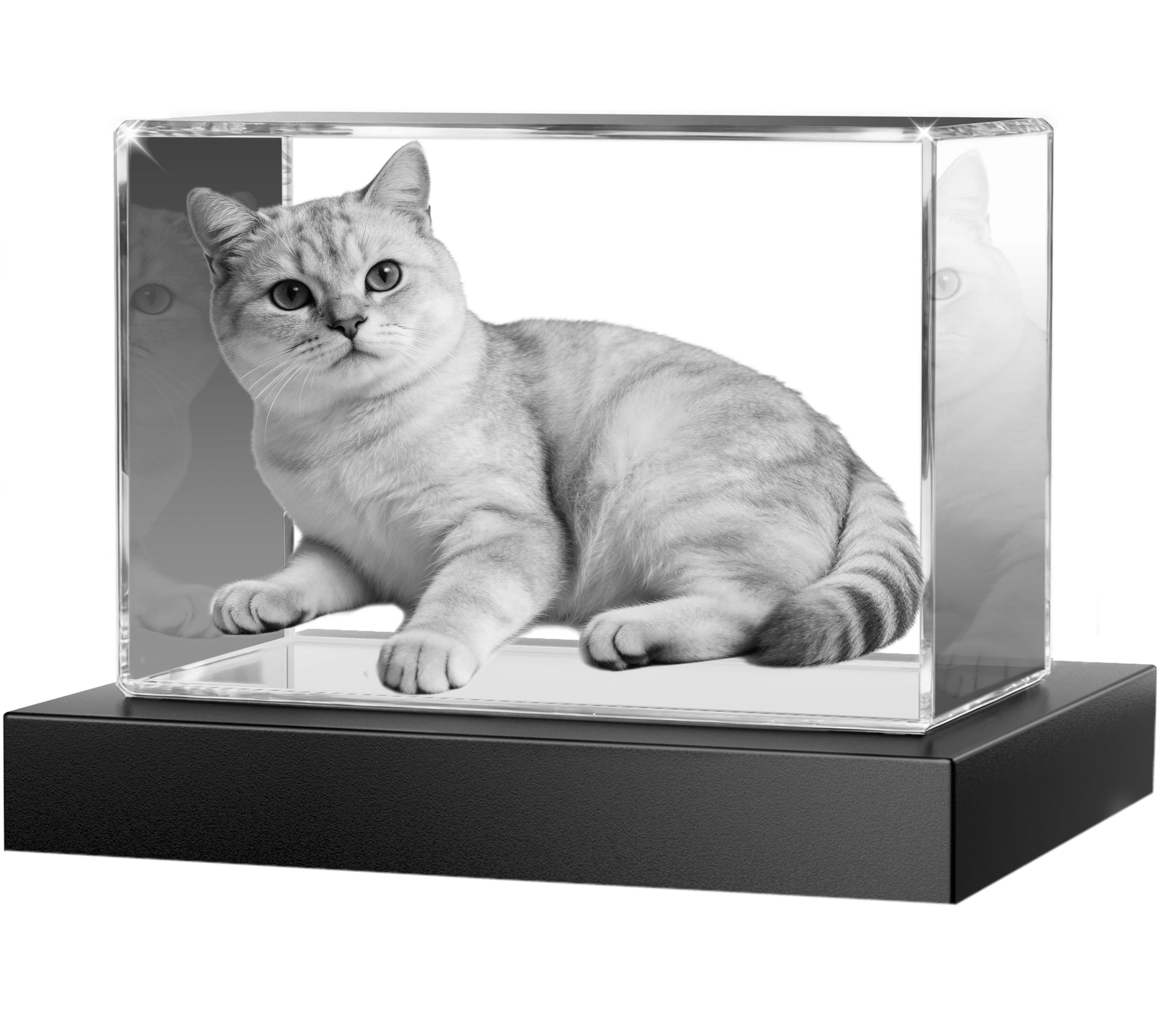 Pet Memorial Gifts for Loss of Dog or Cat – Personalized 3D Crystal Photo Gift with Display Base, Sympathy Keepsake for Dog Mom Cat Lover – Landscape