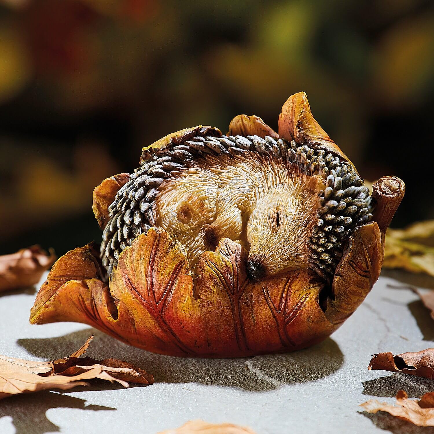 Coopers of Stortford Sleeping Baby Hedgehog in Leaf