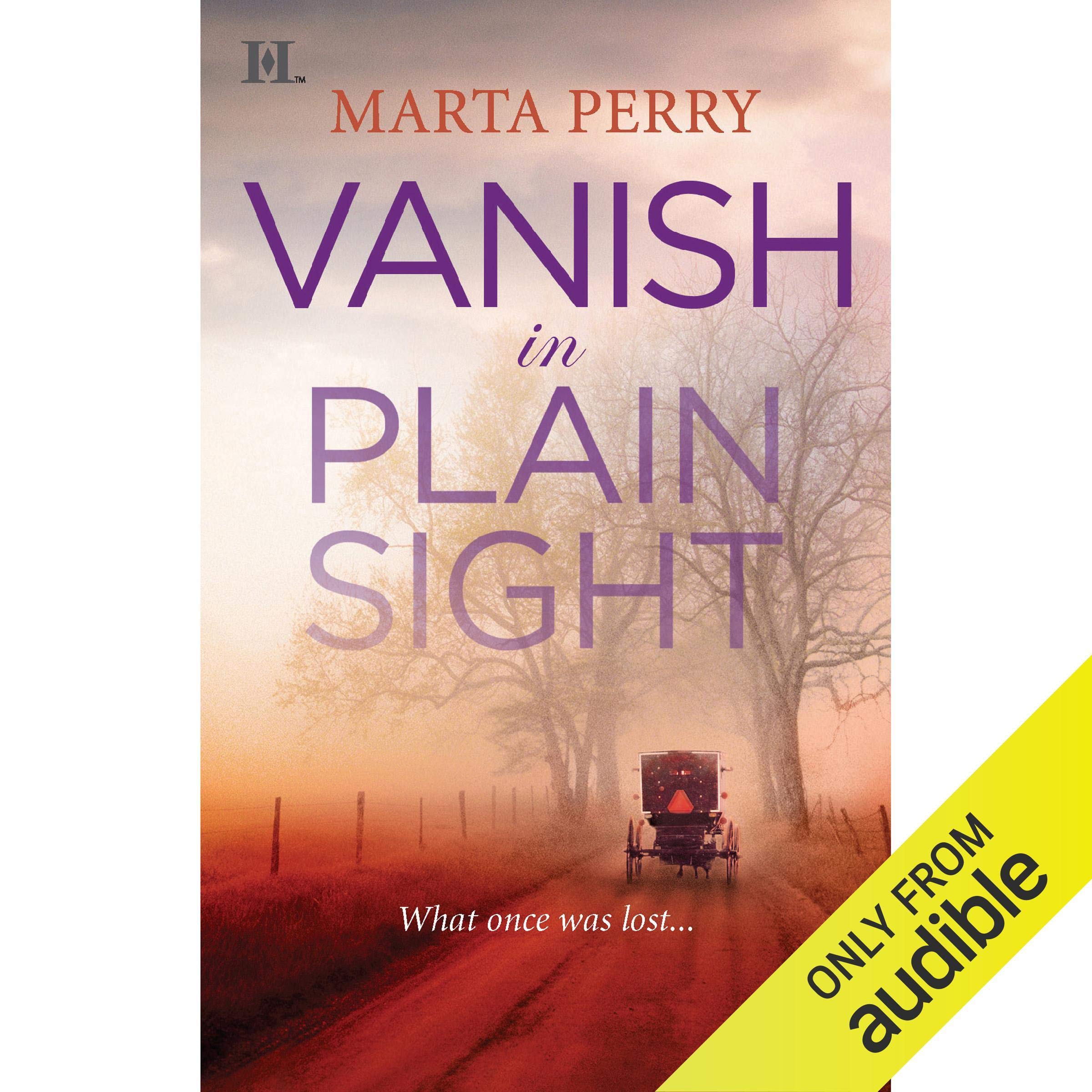 Cover art for Vanish in Plain Sight