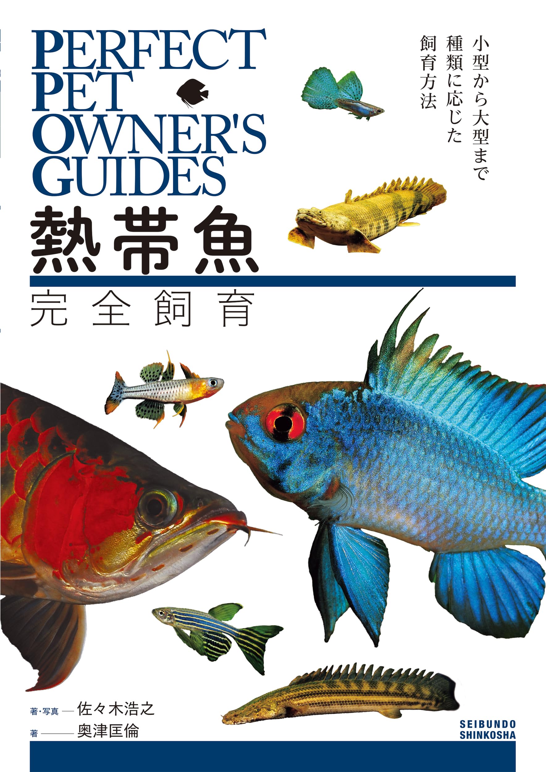 【極希少・極美品】小魚の標本　小瓶　Carassius auratus 熱帯魚完全飼育: 小型から大型まで種類に応じた飼育方法 (PERFECT PET