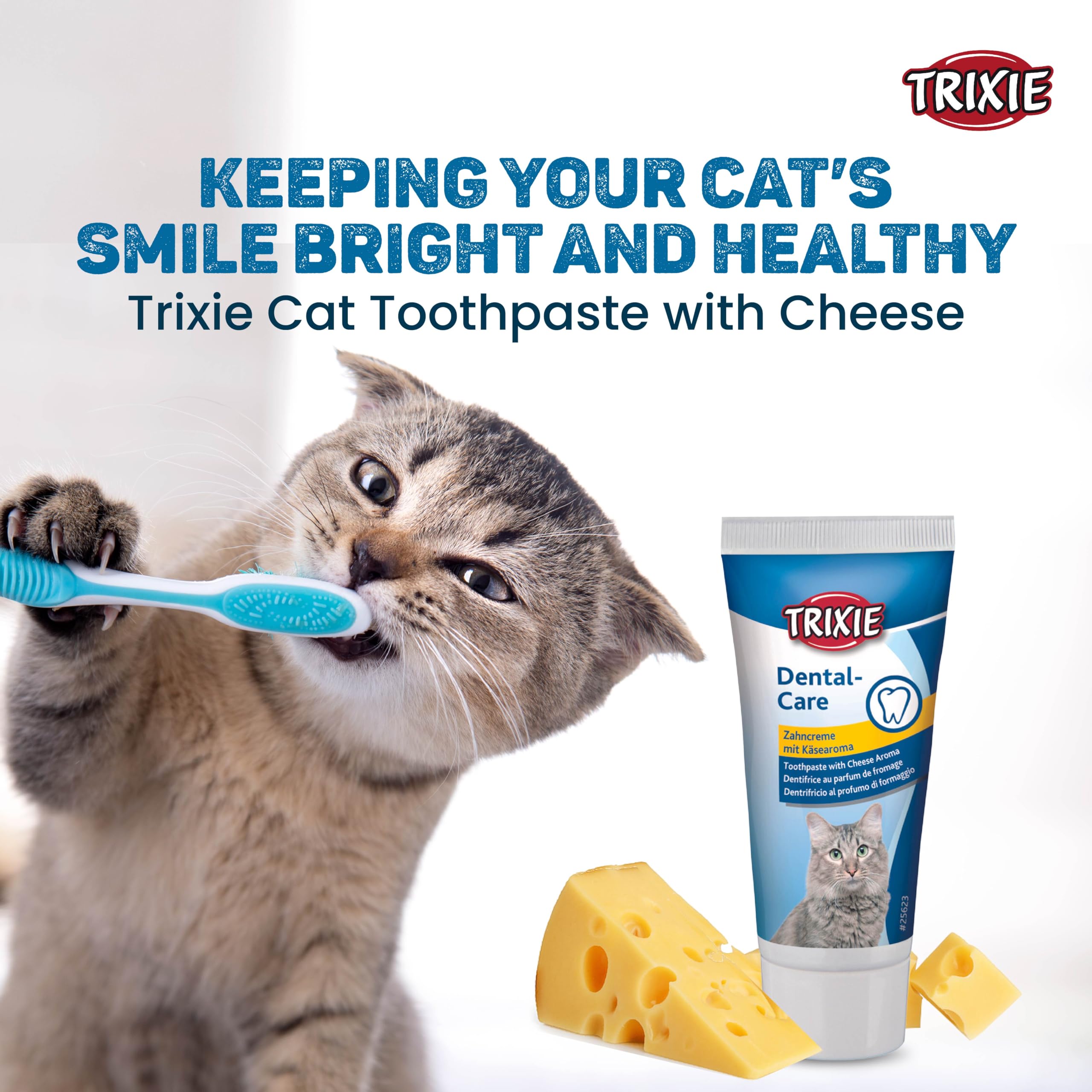 Mega Combo Pack- Cats Dental Hygiene Set-Cat Toothbrush and Toothpaste with Wild Cat Scratching Cardboard | Offer Your Kitty The Possibility to Play & Act Out| Supports Claw Care - 41 × 7 × 24 cm 1