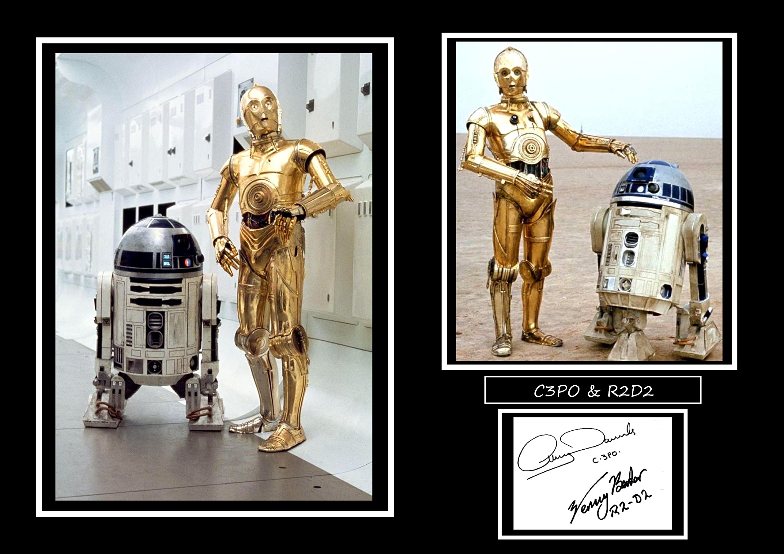 Stunning Quality C3PO & R2D2 Signed/Autographed Print. Star Wars. (A4 Print 29.7cm x 21cm)