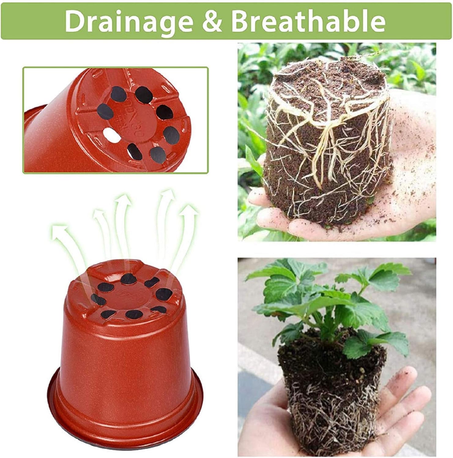 Seedling Pots Plastic Plant Pots Seedling Cups Nursery Pots Plant Container Fit for Seeds Germination, Seedlings Growing, Succulents Planting, Seeds Starting 100 Pcs