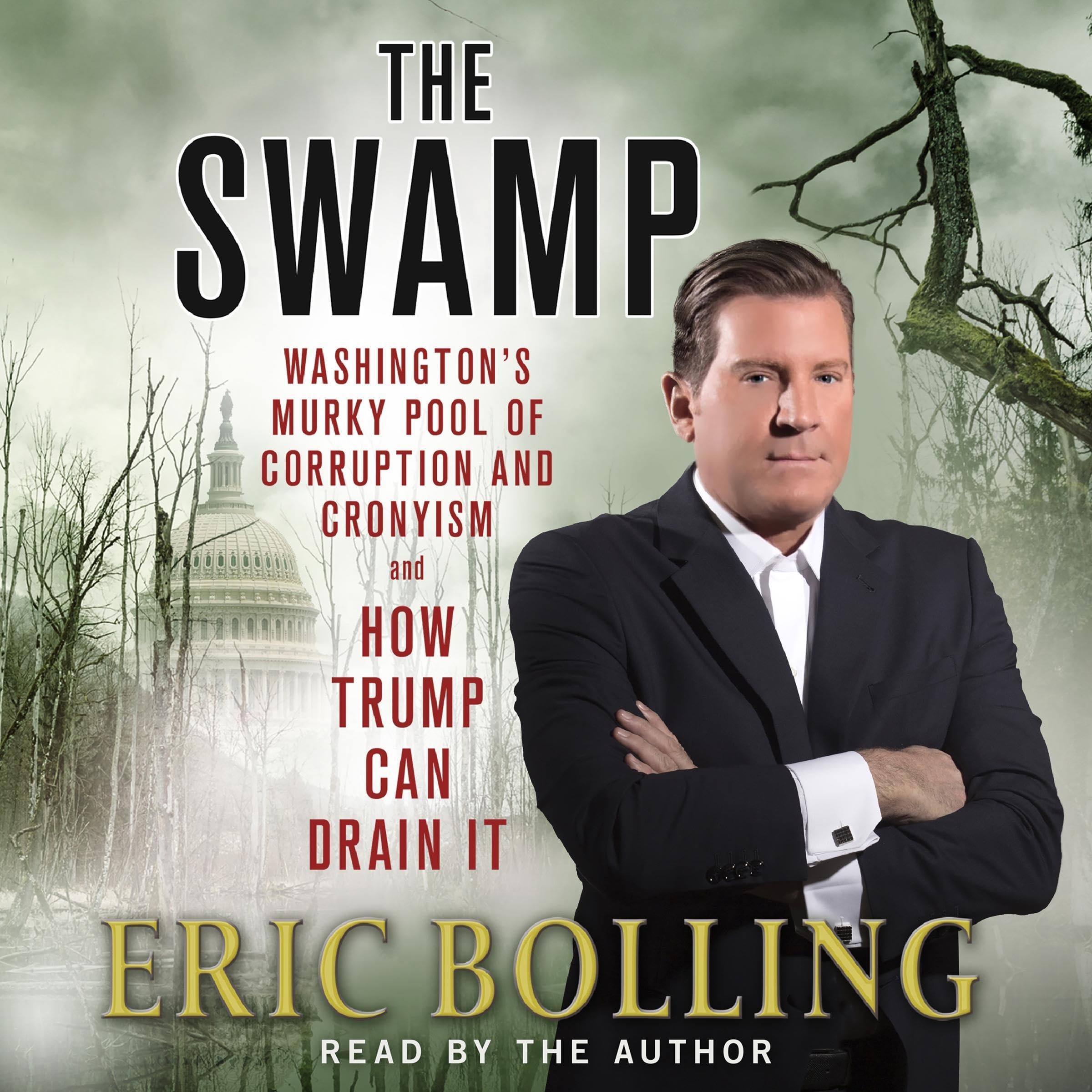 Cover art for The Swamp