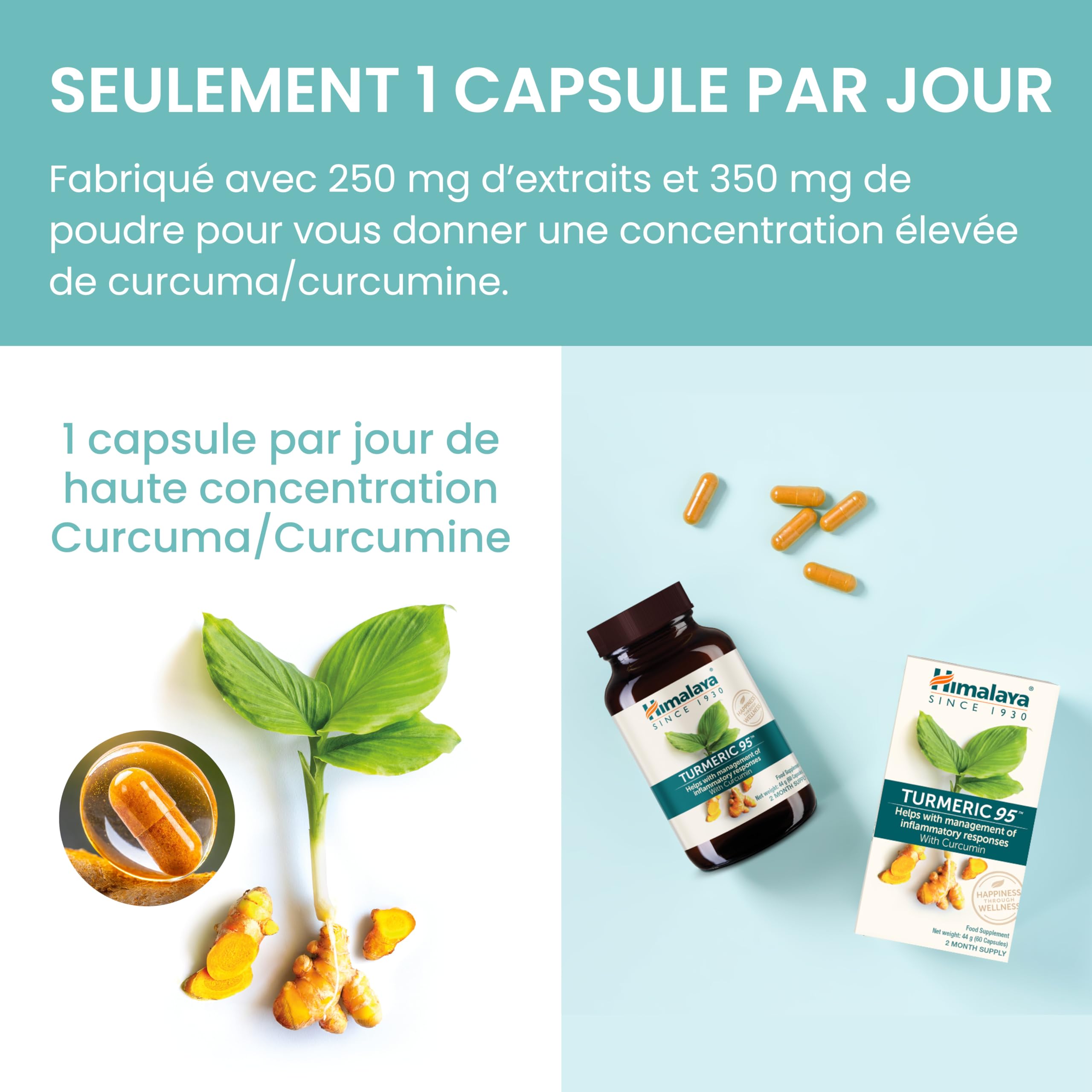Himalaya Curcuma 95 Supplément avec curcumine/curcuminoïdes, soutient le système immunitaire, résistance aux allergies, 600 mg, végétalien, sans gluten, 60 capsules