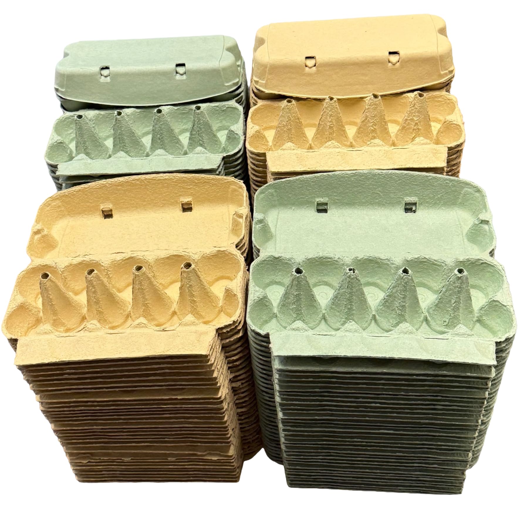 Eggcellent Cartons - 10 egg holder boxes recyclable coloured carton for medium to large eggs (Yellow and Green Mix, 48 Egg boxes)