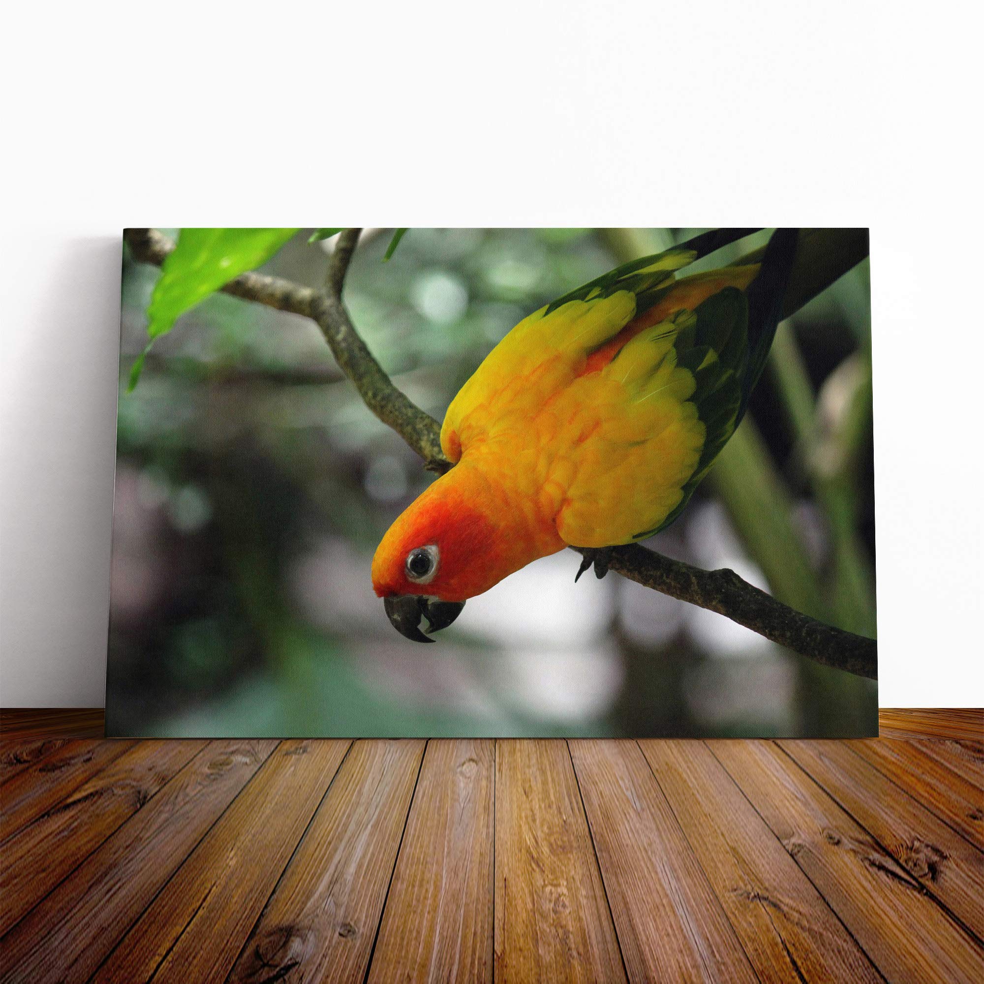 Parrot Bird Canvas Print | Gallery Wrapped 30mm Frame Wall Art | 30x20 inches | Ready to Hang | Modern Animals Picture | Living Room Bedroom Lounge Office