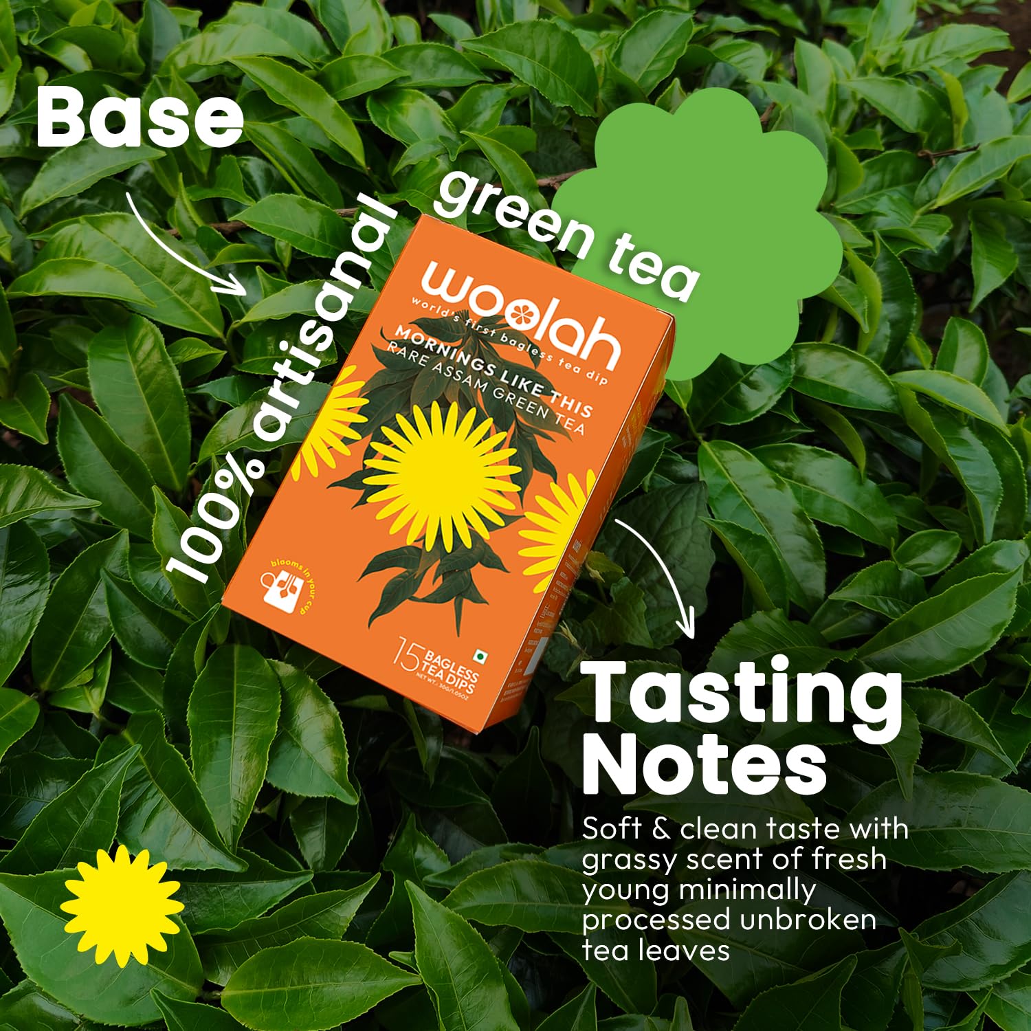 Woolah Artisanal Assam Green Tea, Organic Bagless Tea Dip (2 Packs = 30 Dips /60 Cups) 100% Plastic Free, Natural Whole Leaf, High Antioxidants Supports Weight Management, Skin And Heart Health - Image 3 thumbnail