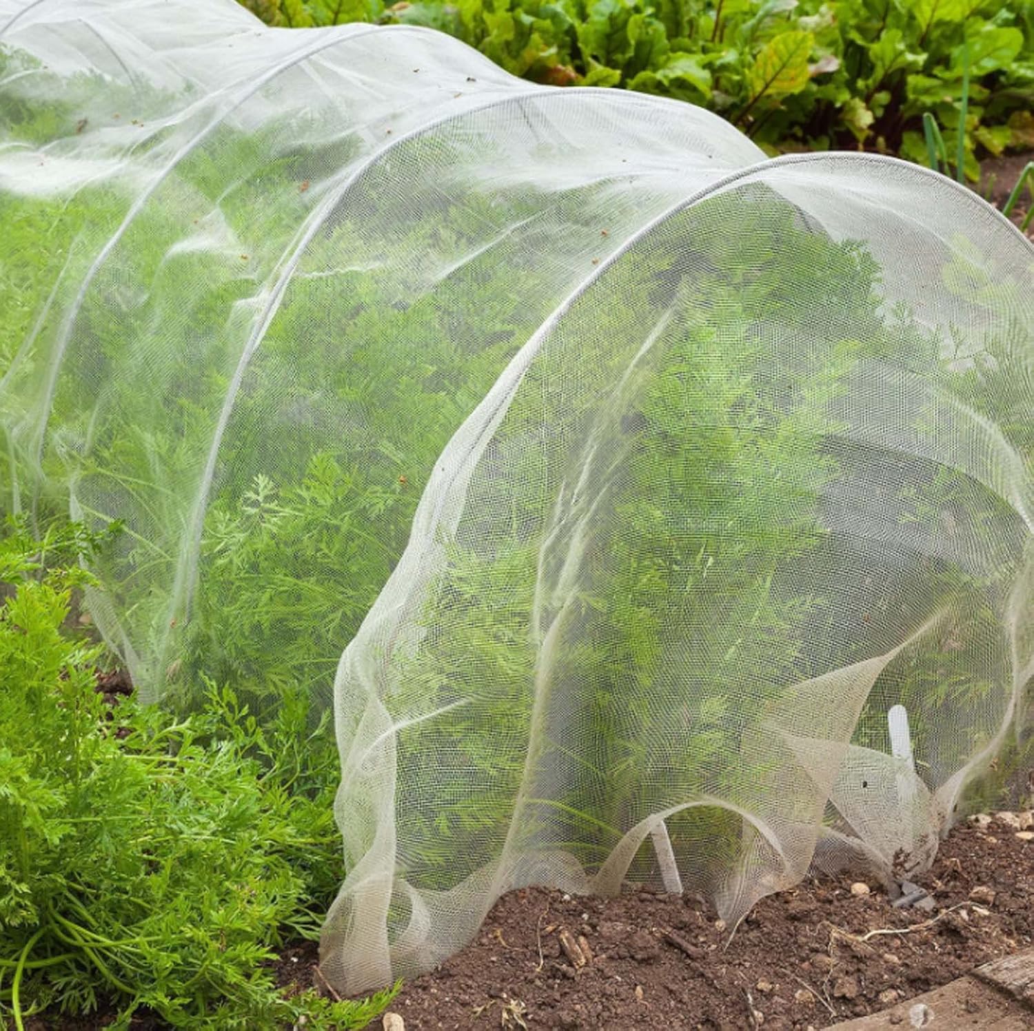 ＼任意2個で300円OFF／防鳥ネット 防虫ネット ファスナー付き 鳥よけネット 巾着式 収穫口付き 果樹 野菜 バラ 植物保護カバー 家庭菜園  農業用 7サイズ 丈夫 透光性90% 防雹 防風 紫外線対策 軽量 洗濯可能 繰り返し使用 | YOLER 防鳥網 防虫ネット 植物保護カバー2*6m 2*10m 保温 防霜 防風 透光性90% 水やり可能 園芸用ネット鳥ネット 防虫網 野