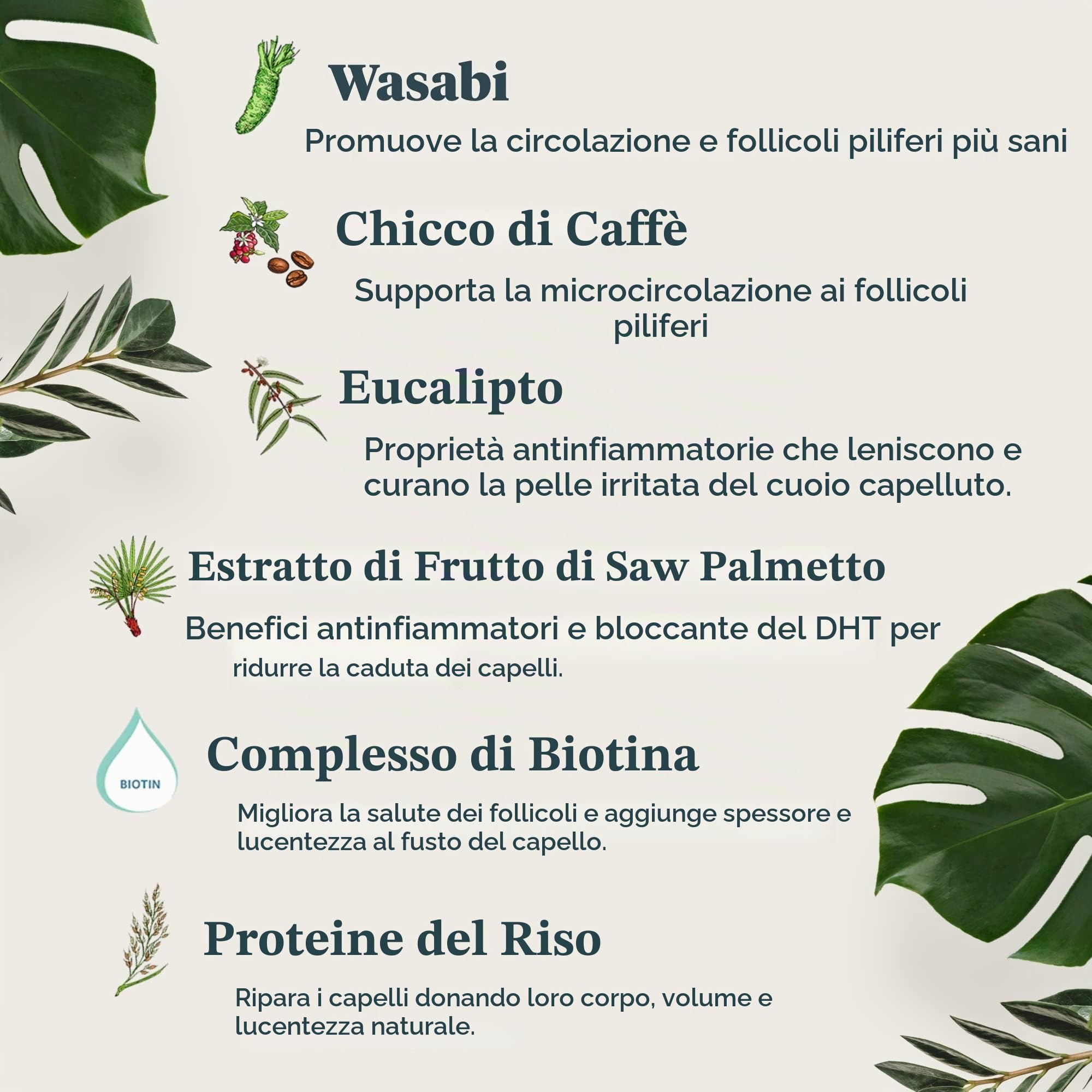 Revive Procare - Trattamento spray per l'ANTICADUTA dei capelli, senza risciacquo, per una crescita più abbondante. Effetto diretto sull'eccessiva perdita di capelli (150ml)