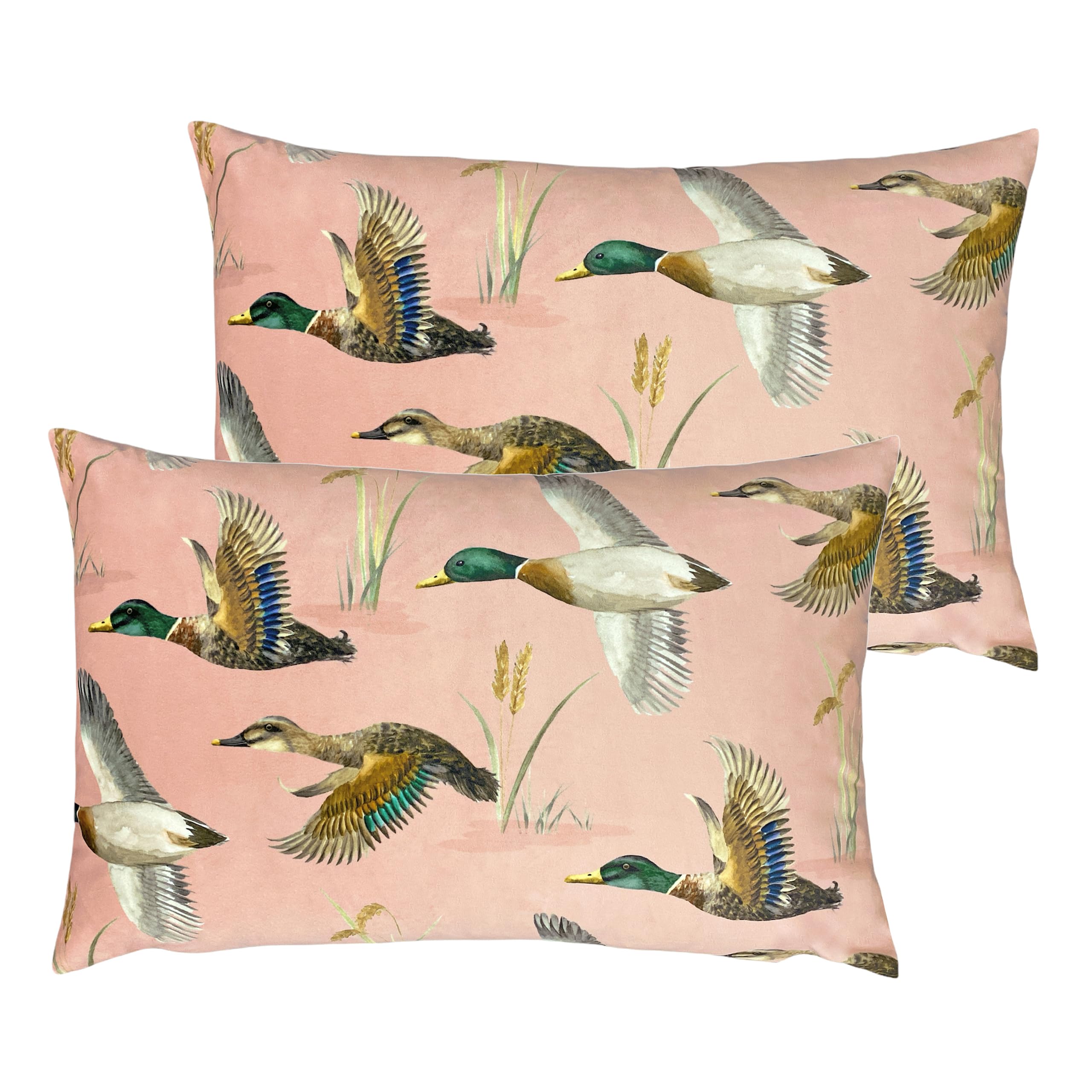 Evans Lichfield Country Duck Pond Rectangular Polyester Filled Cushion - Twin Pack, Blush, 40 x 60cm