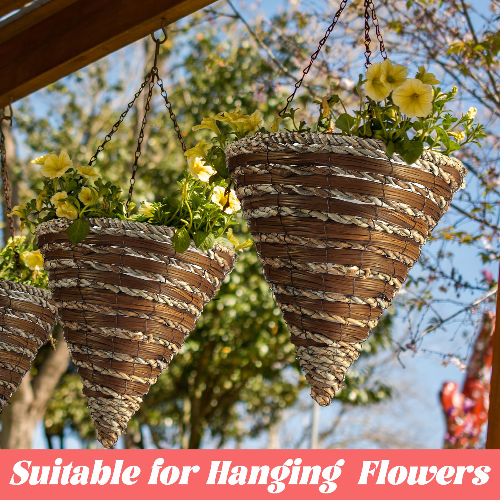 ORFOFE Macetas Transparentes Para Orquídeas 12,7 Cm