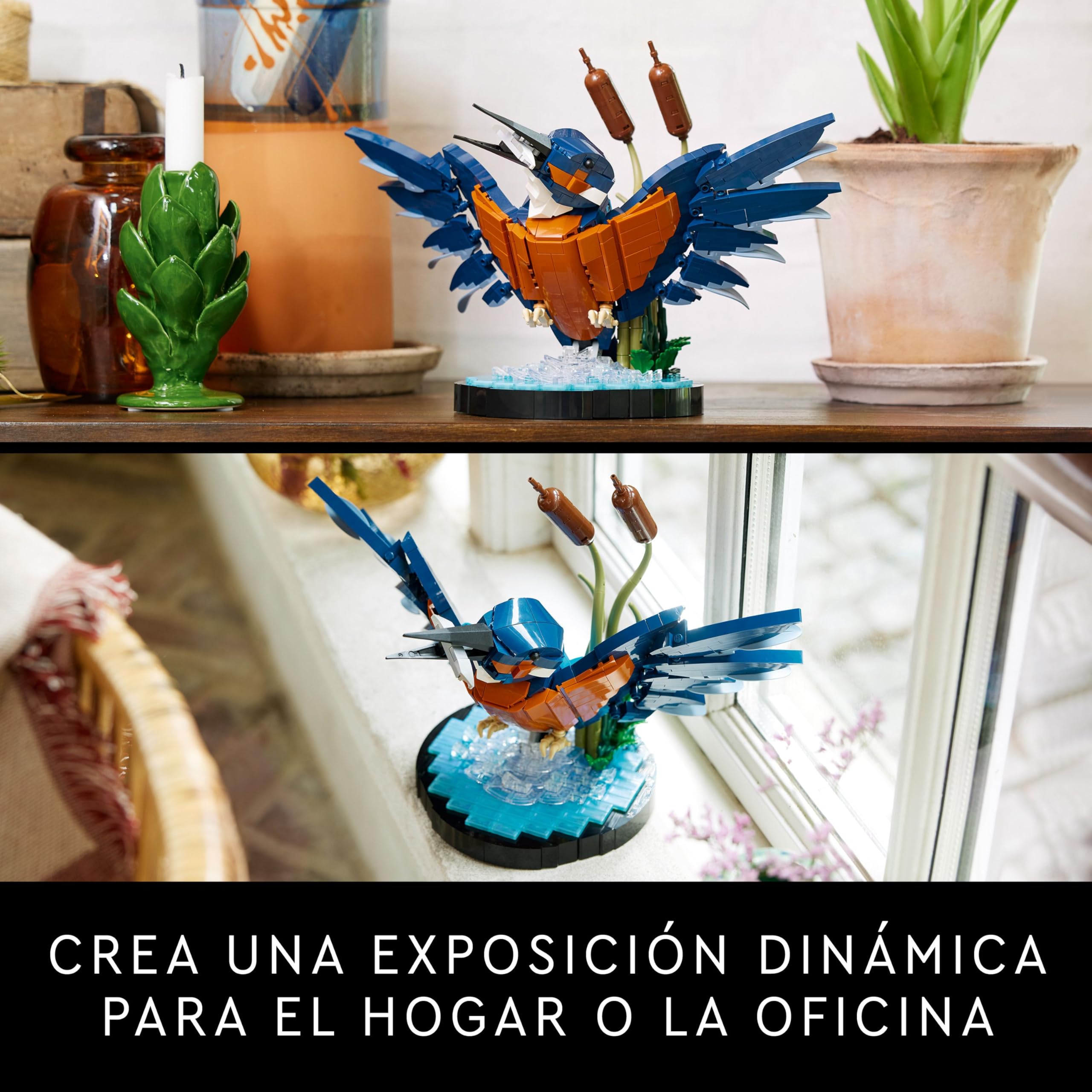 LEGO Icons Martín Pescador, Maqueta para Construir para Adultos, Regalo para Amante de los Pájaros, Decoración del Hogar y Oficina, Accesorio de Escritorio, Proyecto de Construcción Creativa 10331