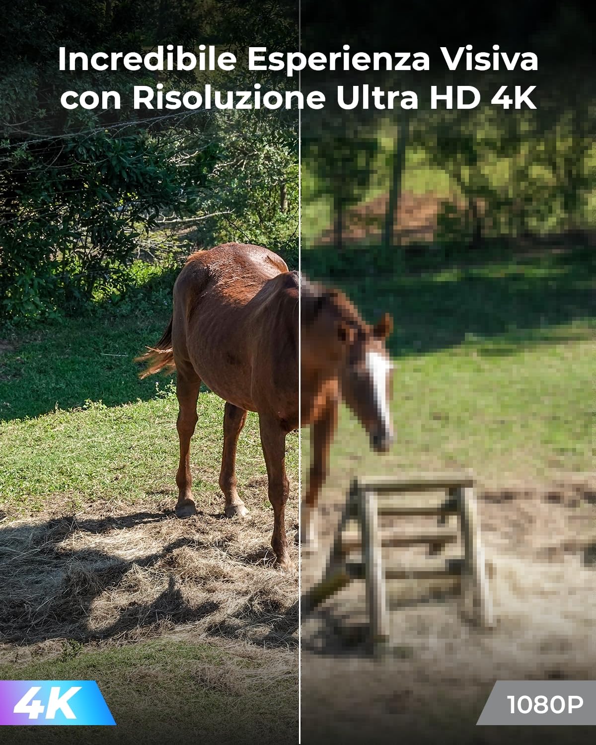 Reolink 3G/4G LTE Telecamera Sim da Esterno Senza Fili, 4K/8MP 360° PTZ Telecamera Batteria con Pannello Solare + 32G SD Card, Rilevamento Smart, Audio a 2 Vie, Visione Notturna a Colori, Go PT Ultra