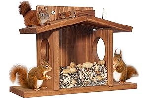 Wooden Squirrel Feeder for Outside Winter