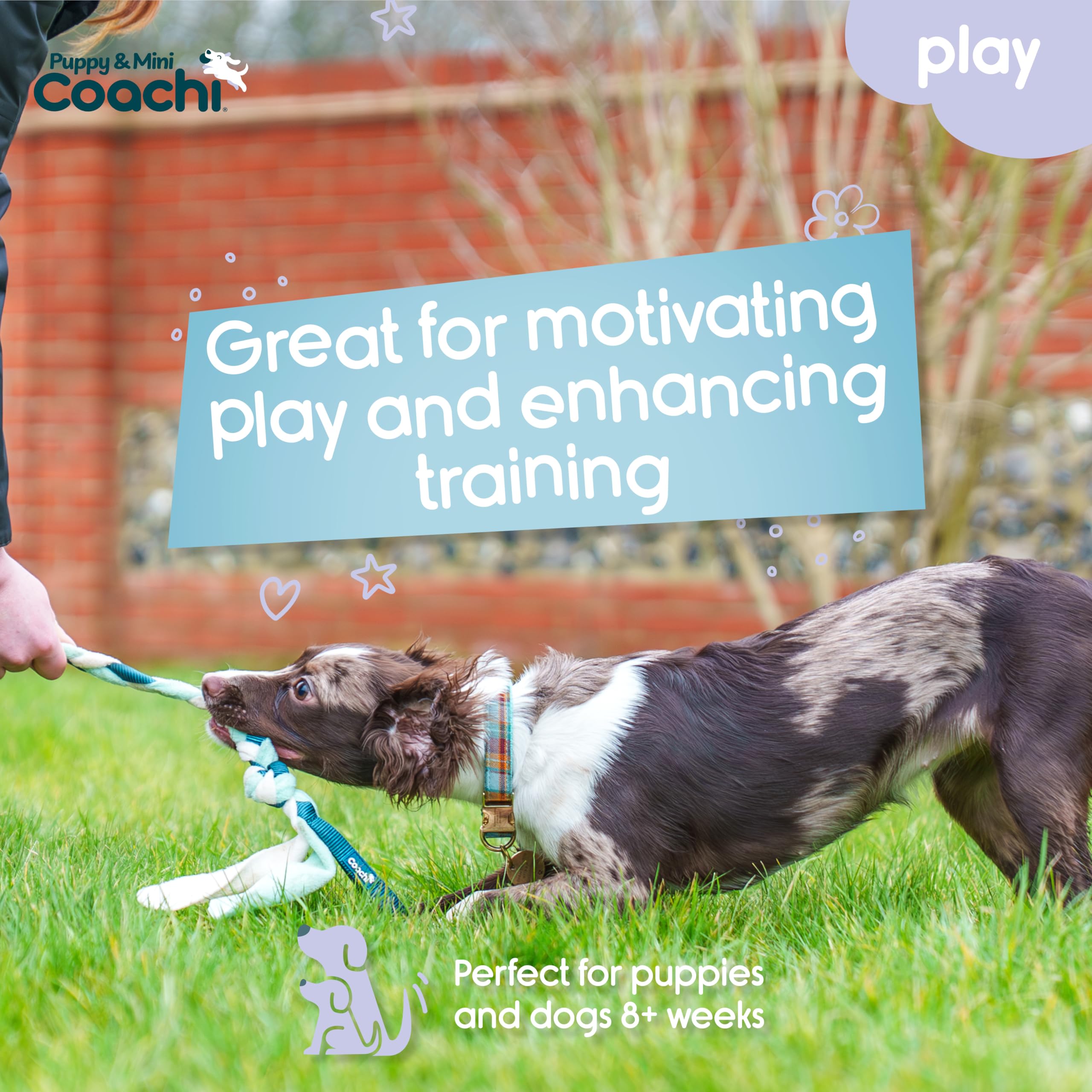 Coachi Puppy & Mini Tuggi Tug, Great for Tug & Play, Strong Dog Toy, Fun Reward Training - Image 2
