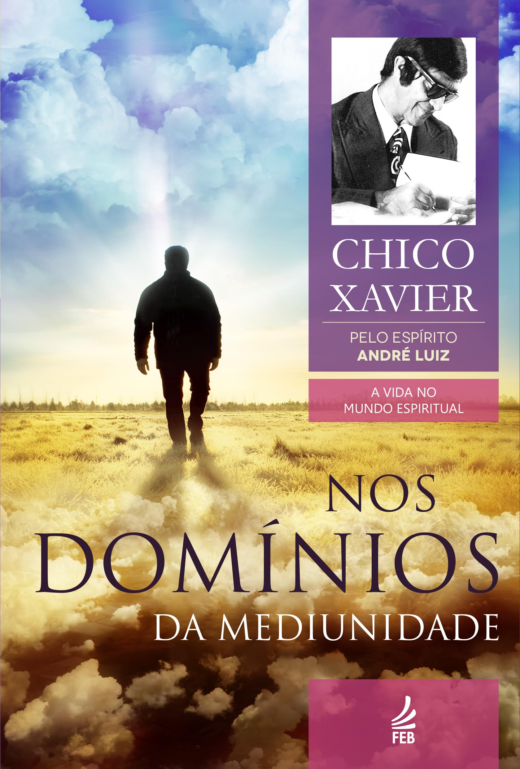 Nos Domínios da Mediunidade: Coleção A vida no mundo espiritual- livro 8