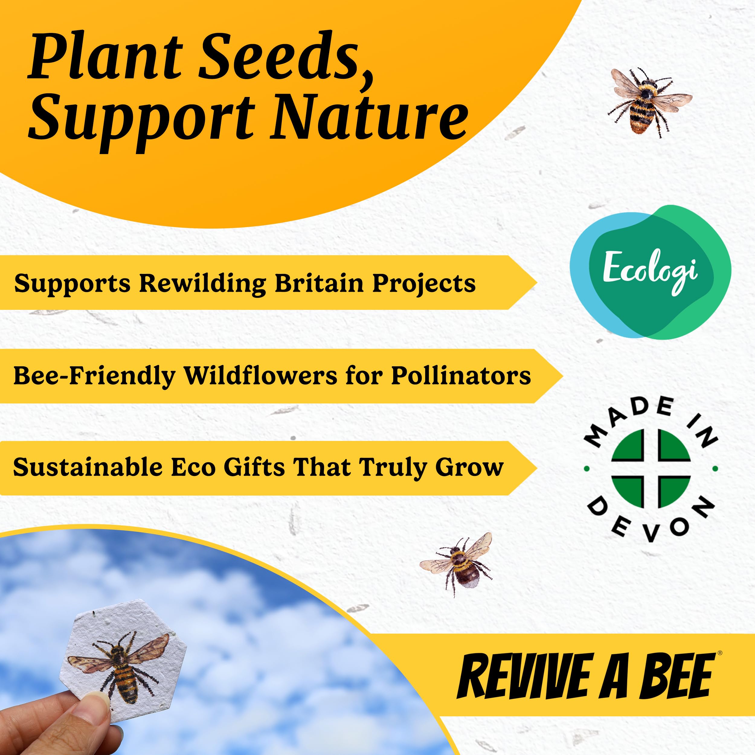 Revive a Bee Gift Box, 2 x Bee Revival Kit Keyrings, 1x Refill Bottle & Plantable Seed Paper, Gift For Eco-Conscious Nature Lovers — view 9