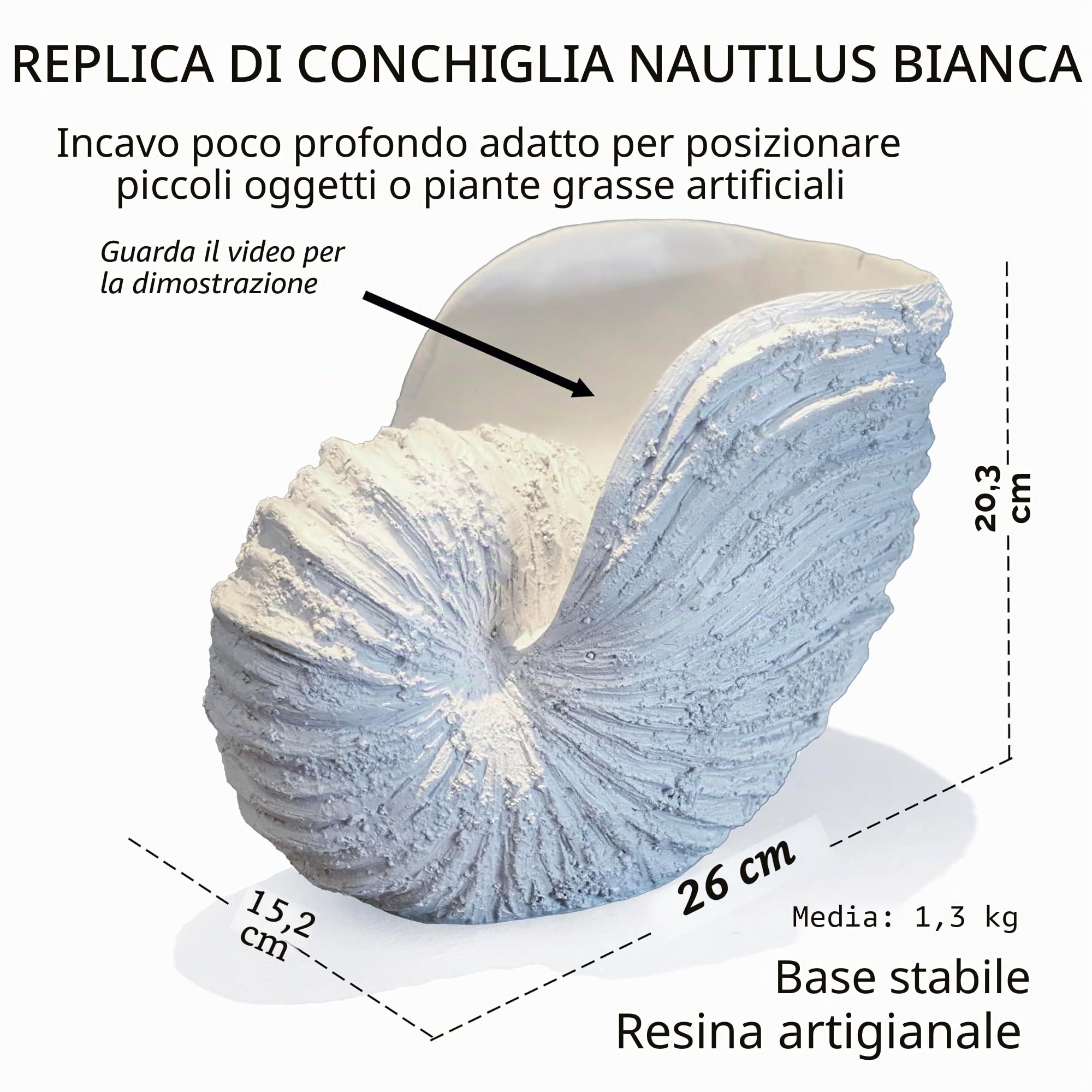 Nautilus - Scultura a forma di conchiglia, replica a tema spiaggia, decorazione per la casa, rustica in resina bianca, 25,4 x 15,2 x 20,3 cm, decorazione per mensole, in confezione regalo